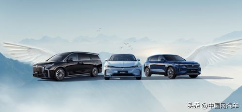 嵐圖汽車(chē)銷(xiāo)售總經(jīng)理余飛離職 人事頻繁變動(dòng)背后的“內(nèi)憂”與銷(xiāo)售雙重挑戰(zhàn)